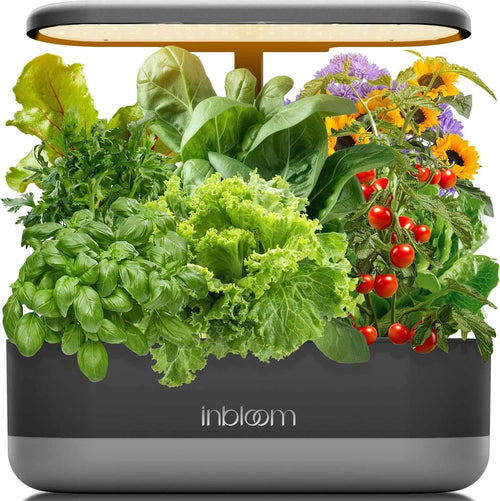 12-pod hydroponic system with LED lights for indoor herb gardening and fast plant growth