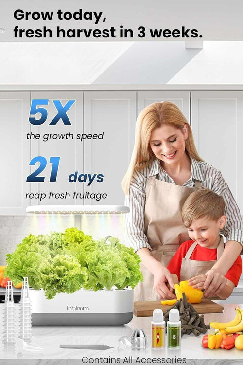 12-pod hydroponic system with LED grow lights and 12 planting stations for indoor herb gardening