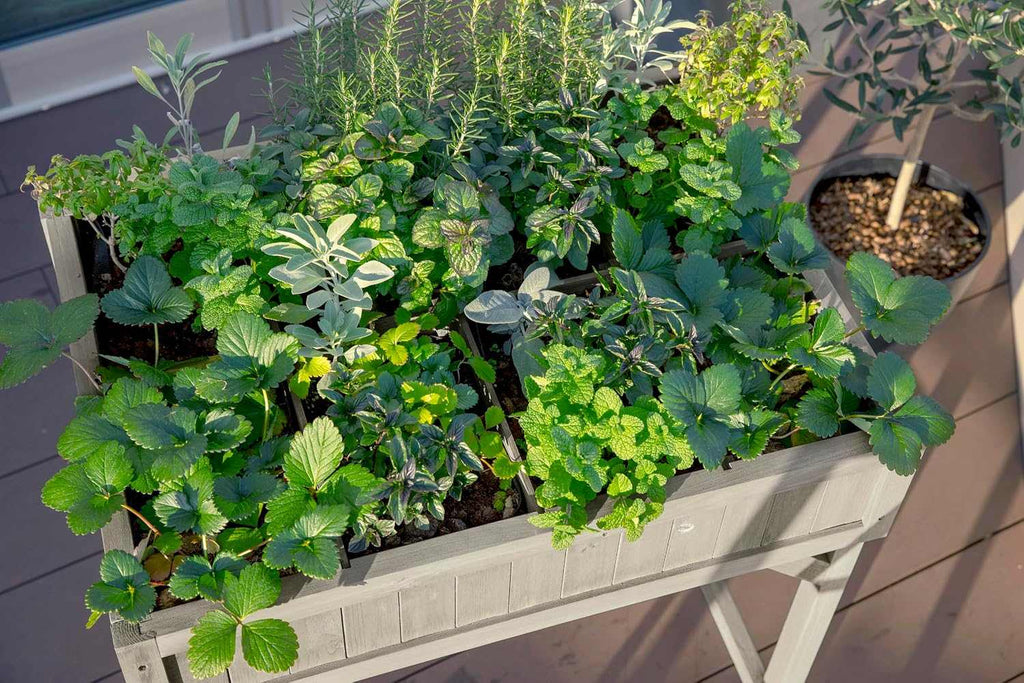 8-pocket raised herb planter in grey wash wood with eight separate pockets for growing multiple herbs compactly